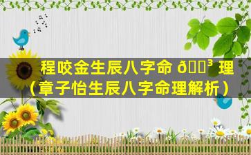 程咬金生辰八字命 🌳 理（章子怡生辰八字命理解析）